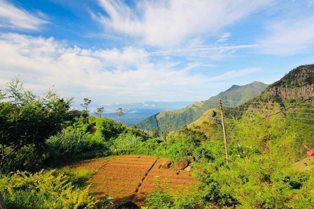 Misty Mountain Lodge Ohiya Eksteriør billede